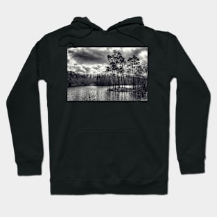 Daylight Dances on the Lake Hoodie